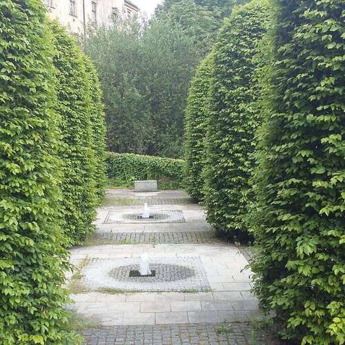 Carpen Lombard – pachet 25 bucăți